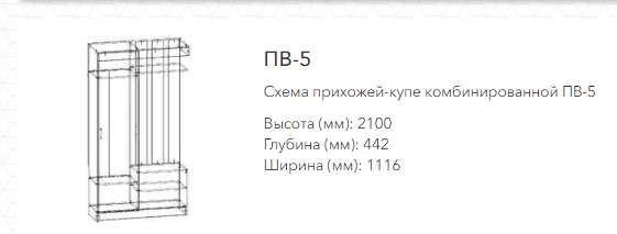 Прихожая- купе «ПАМИР ПВ-5» в Нижнем Новгороде фото №3