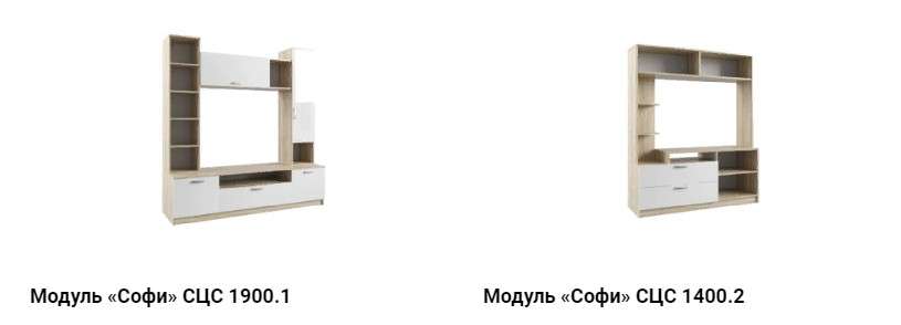 Гостиная «СОФИ» Комплектация 4 модульная (ДСВ) в Нижнем Новгороде фото №5