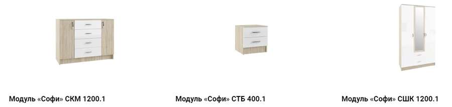 Гостиная «СОФИ» Комплектация 2 модульная (ДСВ) в Нижнем Новгороде фото №2