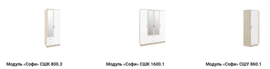 Гостиная «СОФИ» Комплектация 2 модульная (ДСВ) в Нижнем Новгороде фото №3