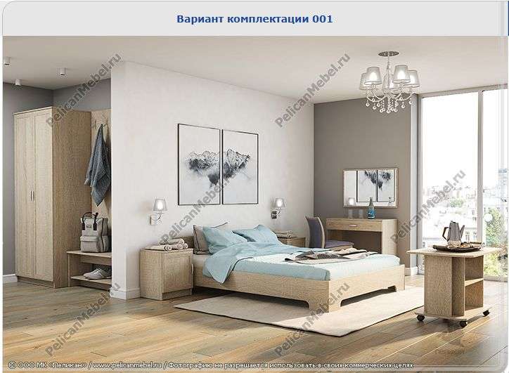 Мебель для студий «Вояж» Комплектация 5 (Пеликан) в Нижнем Новгороде фото №6