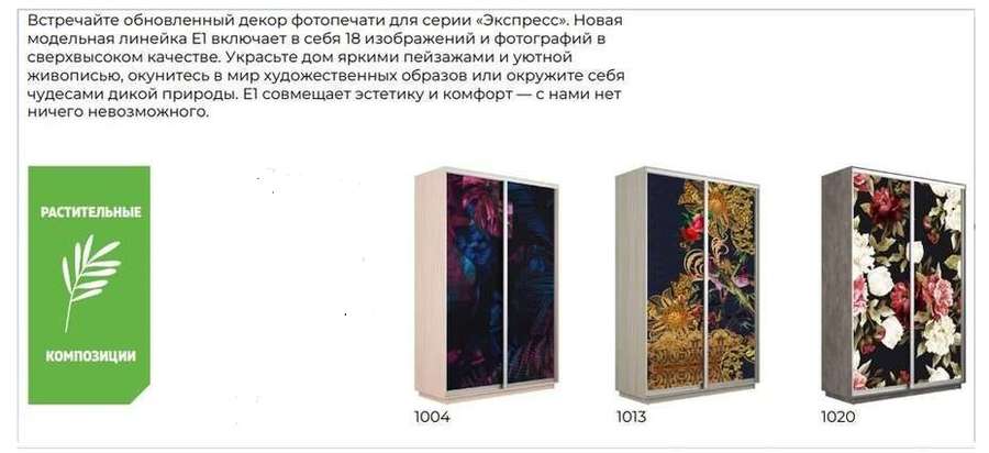 Шкаф-купе Экспресс 2-х дв (Фотопечать) 3 размера, Две высоты в Нижнем Новгороде фото №19
