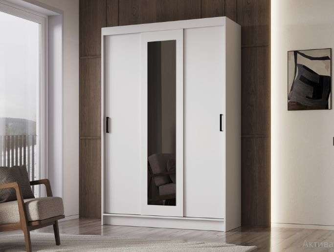 Шкаф-купе «Бруно 5» Различные цветовые решения (Эра) в Нижнем Новгороде фото №3