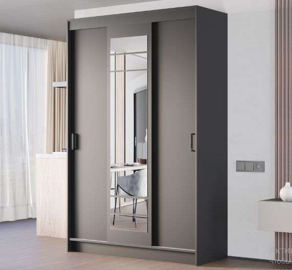 Шкаф-купе «Бруно 3» Графит (Эра) в Нижнем Новгороде фото №1